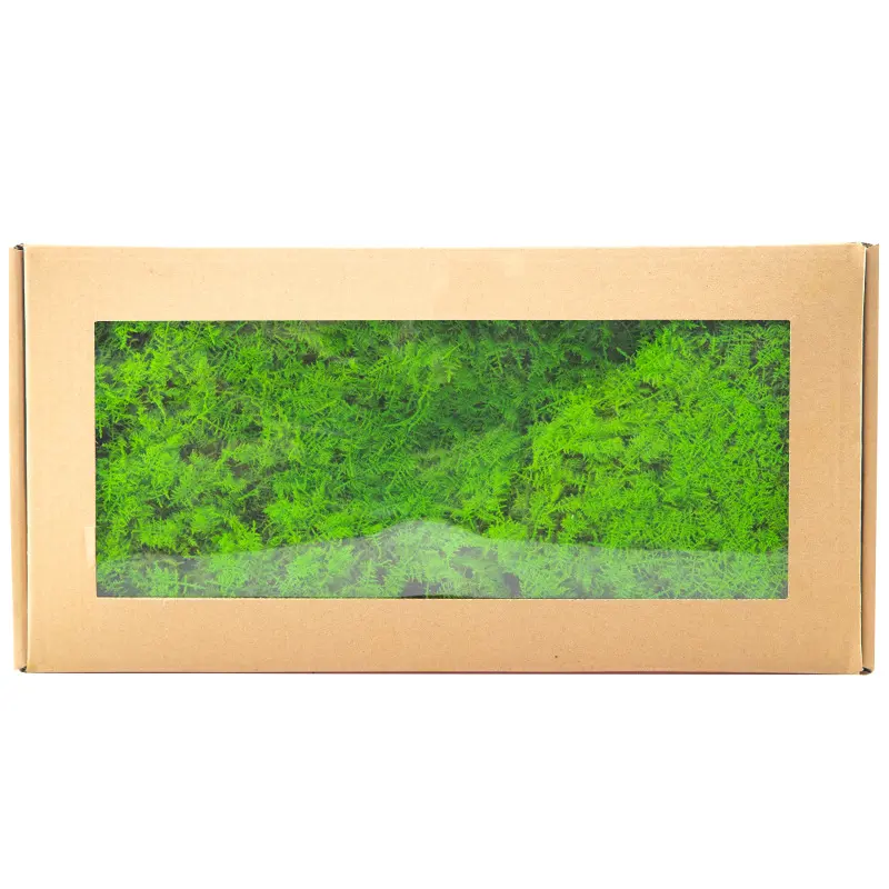 Perpetual moss wall making soft furnishing decoration