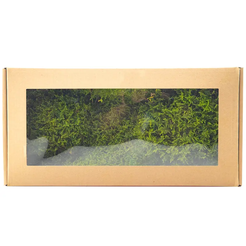 Perpetual moss wall making soft furnishing decoration