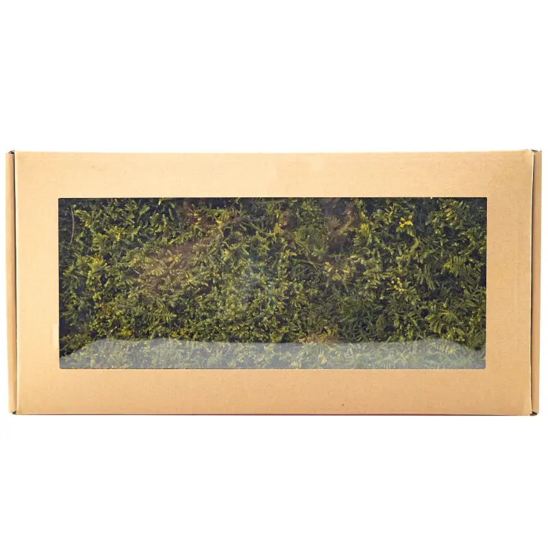 Perpetual moss wall making soft furnishing decoration