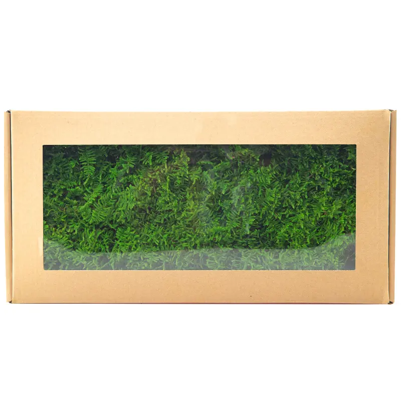 Perpetual moss wall making soft furnishing decoration