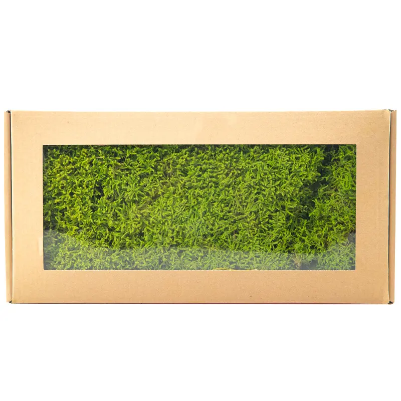 Perpetual moss wall making soft furnishing decoration