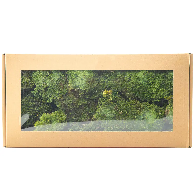 Perpetual moss wall making soft furnishing decoration