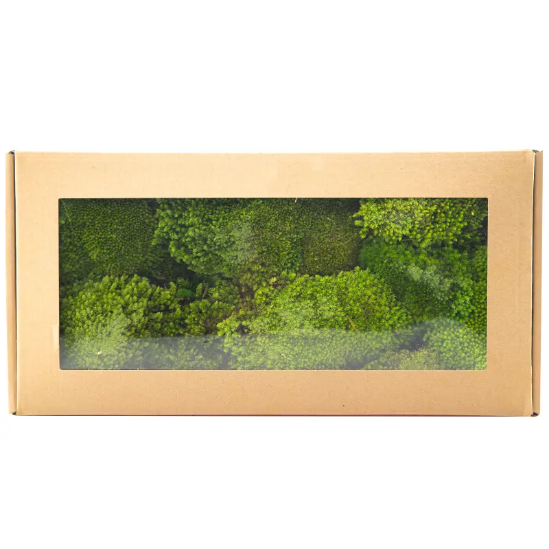 Perpetual moss wall making soft furnishing decoration