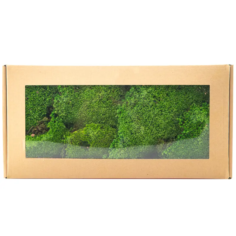 Perpetual moss wall making soft furnishing decoration
