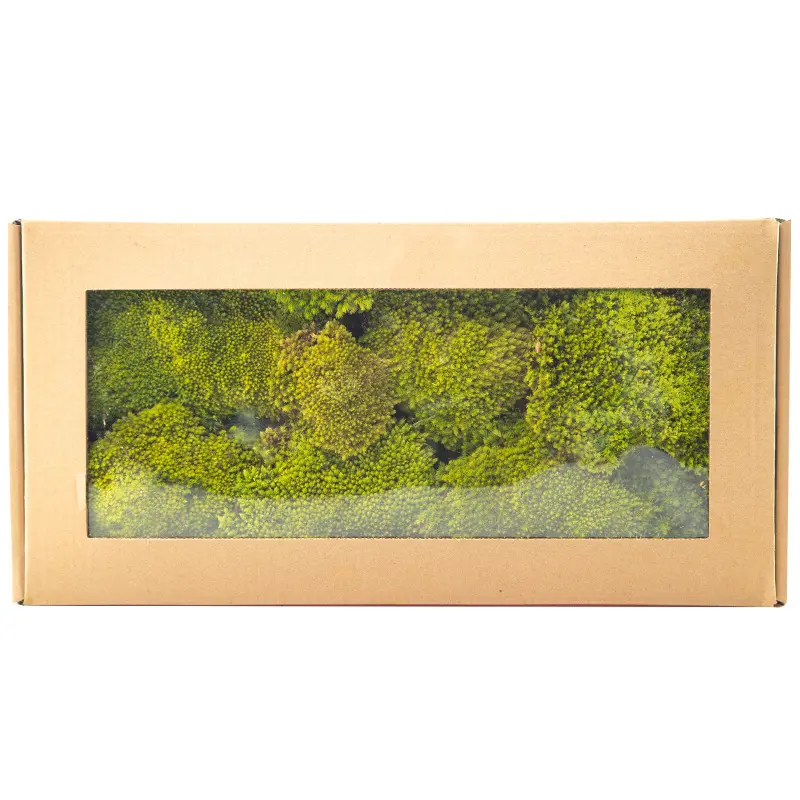 Perpetual moss wall making soft furnishing decoration