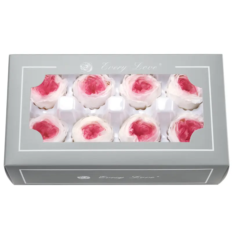 Preserved Flower A Grade Austin Rose Head 5-6cm 8pcs DIY material