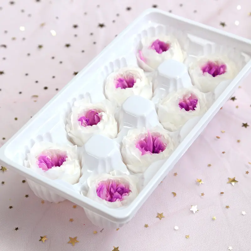 Preserved Flower A Grade Austin Rose Head 5-6cm 8pcs DIY material