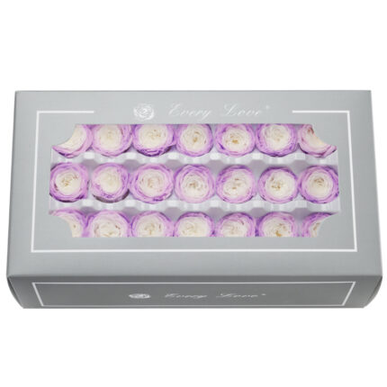 Preserved Flower DIY material A Grade Austin Rose Head 2-3cm 21pcs