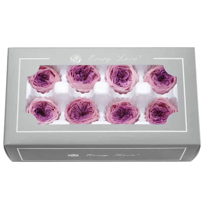 Preserved Flower A Grade Austin Rose Head 5-6cm 8pcs DIY material