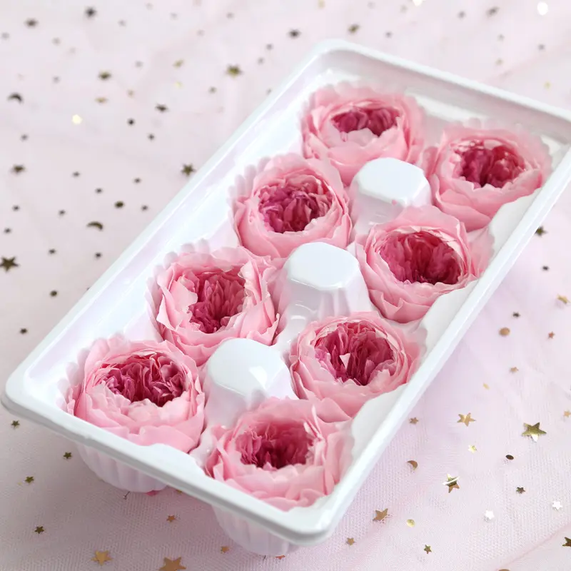 Preserved Flower A Grade Austin Rose Head 5-6cm 8pcs DIY material