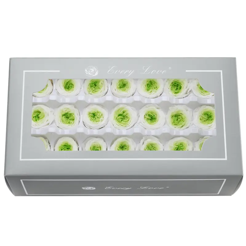 Preserved Flower DIY material A Grade Austin Rose Head 2-3cm 21pcs