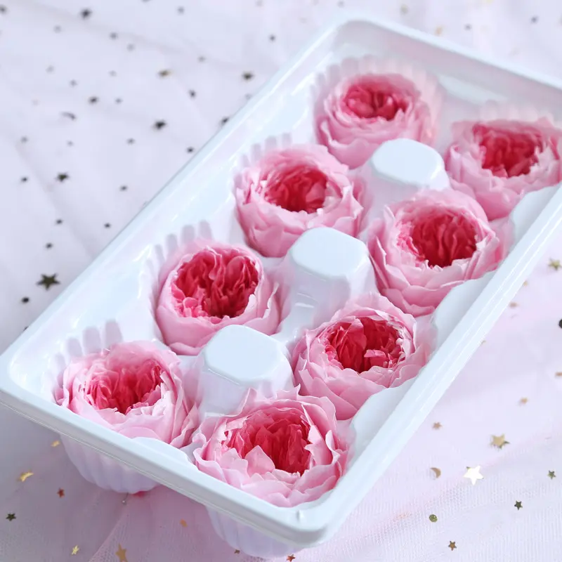 Preserved Flower A Grade Austin Rose Head 5-6cm 8pcs DIY material