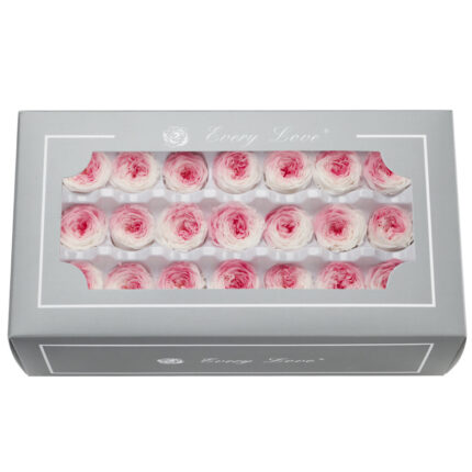 Preserved Flower DIY material A Grade Austin Rose Head 2-3cm 21pcs