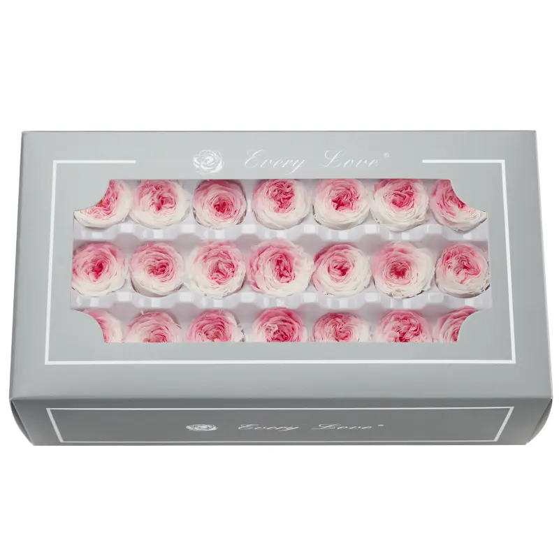 Preserved Flower DIY material A Grade Austin Rose Head 2-3cm 21pcs