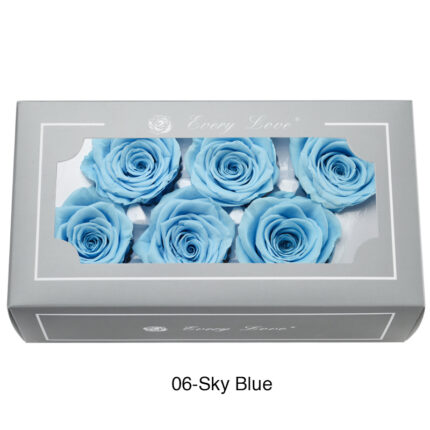 Preserved Flower A Grade Rose Head 5-6cm 6pcs