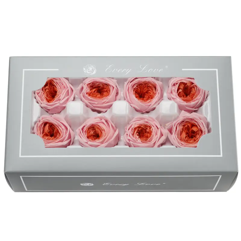 Preserved Flower A Grade Austin Rose Head 5-6cm 8pcs DIY material