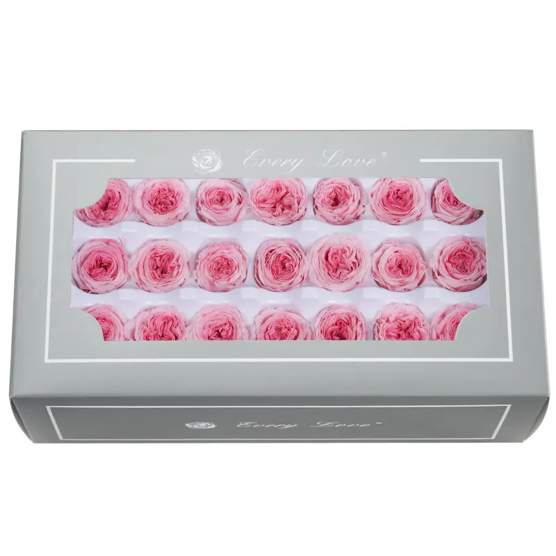 Preserved Flower DIY material A Grade Austin Rose Head 2-3cm 21pcs