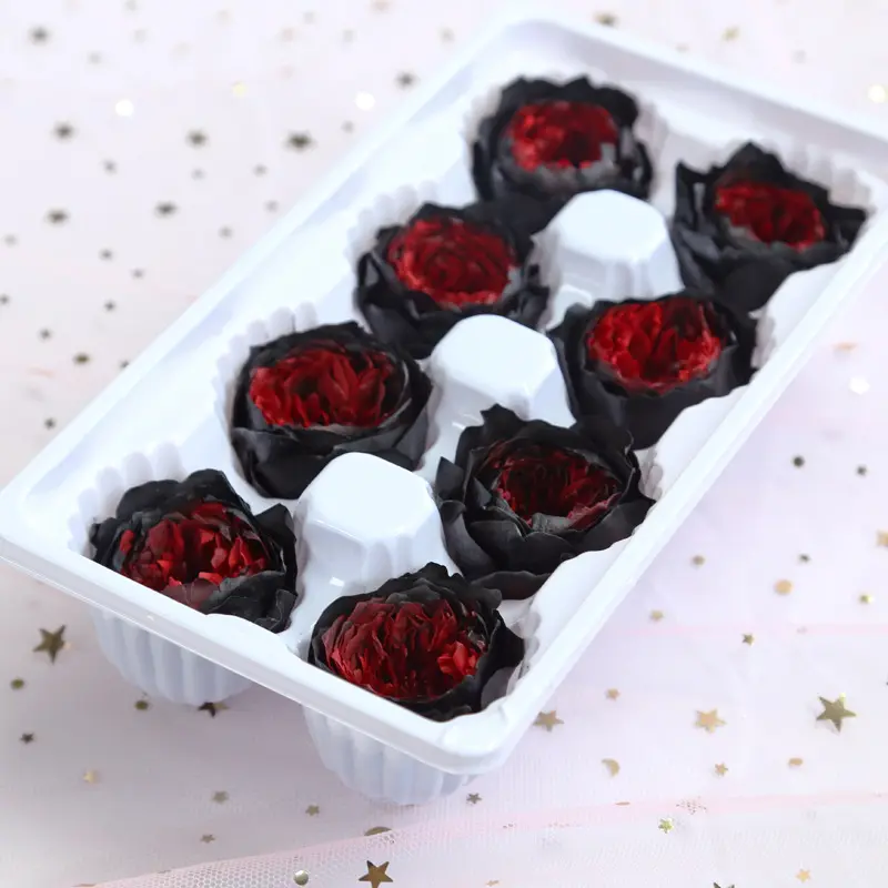 Preserved Flower A Grade Austin Rose Head 5-6cm 8pcs DIY material