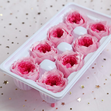 Preserved Flower A Grade Austin Rose Head 5-6cm 8pcs DIY material
