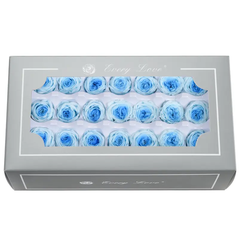 Preserved Flower DIY material A Grade Austin Rose Head 2-3cm 21pcs