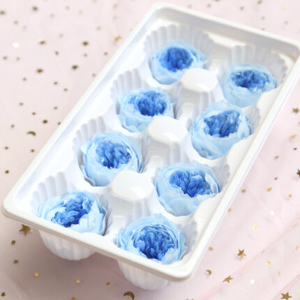Preserved Flower A Grade Austin Rose Head 5-6cm 8pcs DIY material