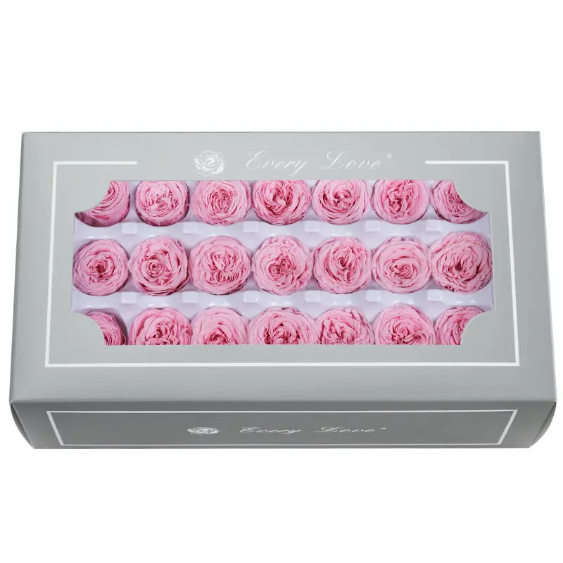 Preserved Flower DIY material A Grade Austin Rose Head 2-3cm 21pcs