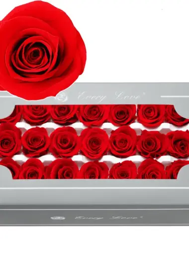 Preserved Flower A Grade Rose Head 2-3cm