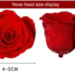 Preserved Flower DIY material A Grade Rose Head 4-5cm 8pcs
