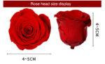 Preserved Flower DIY material A Grade Rose Head 4-5cm 8pcs