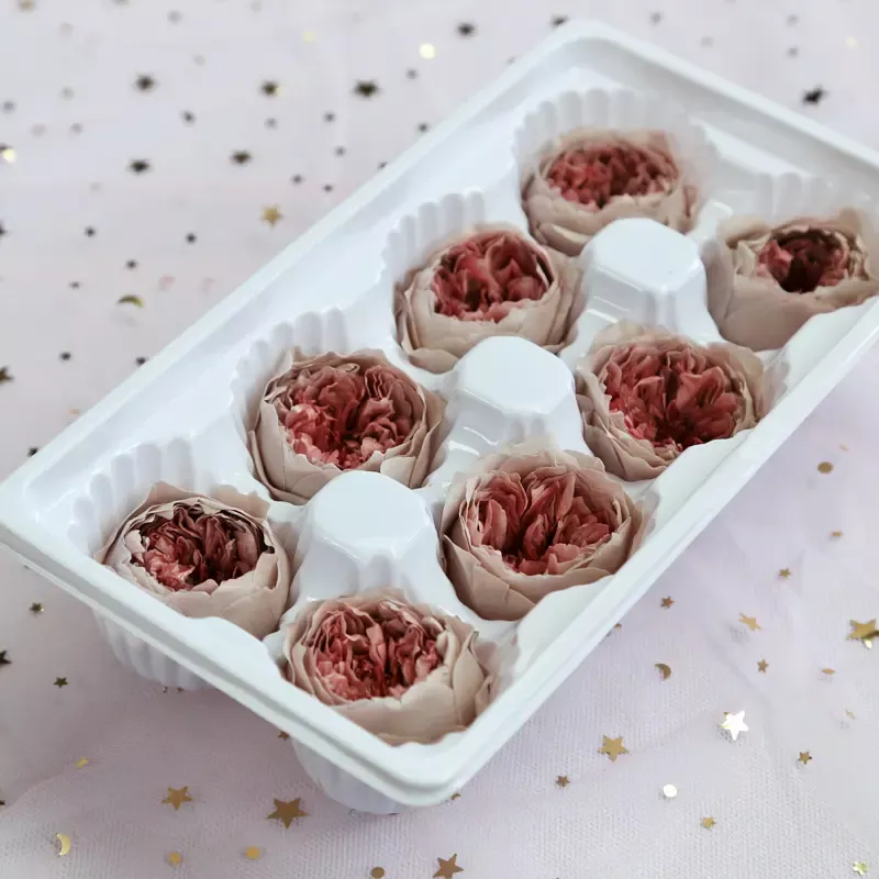 Preserved Flower A Grade Austin Rose Head 5-6cm 8pcs DIY material