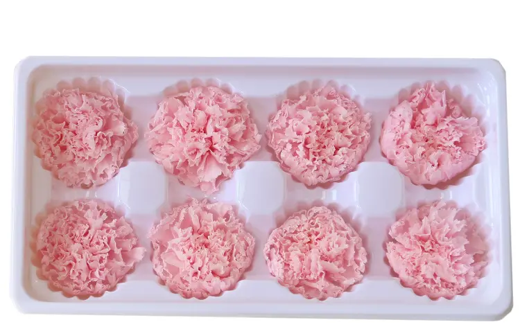 Preserved flower carnation flower head DIY material 4-5cm 8 pcs