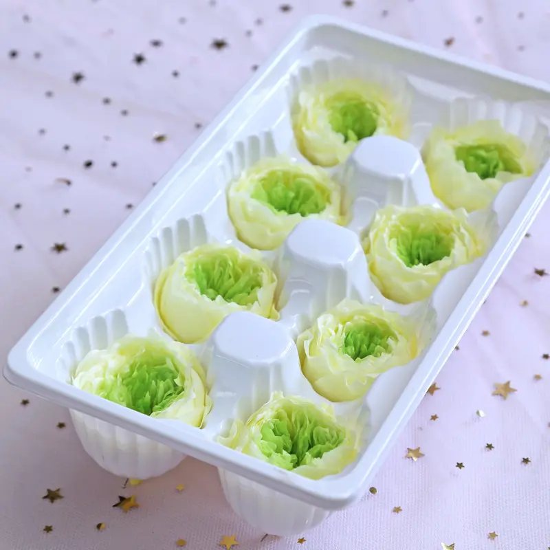 Preserved Flower A Grade Austin Rose Head 5-6cm 8pcs DIY material