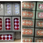 Preserved Flower A Grade Austin Rose Head 4-5cm 8pcs DIY material - Image 7