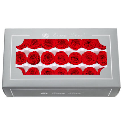 Preserved Flower DIY material A Grade Austin Rose Head 2-3cm 21pcs