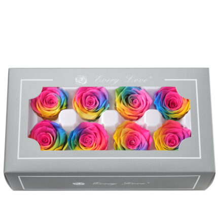 Grade A Preserved Flower Rainbow Color Gradient Rose Head 4-5cm 8 pcs