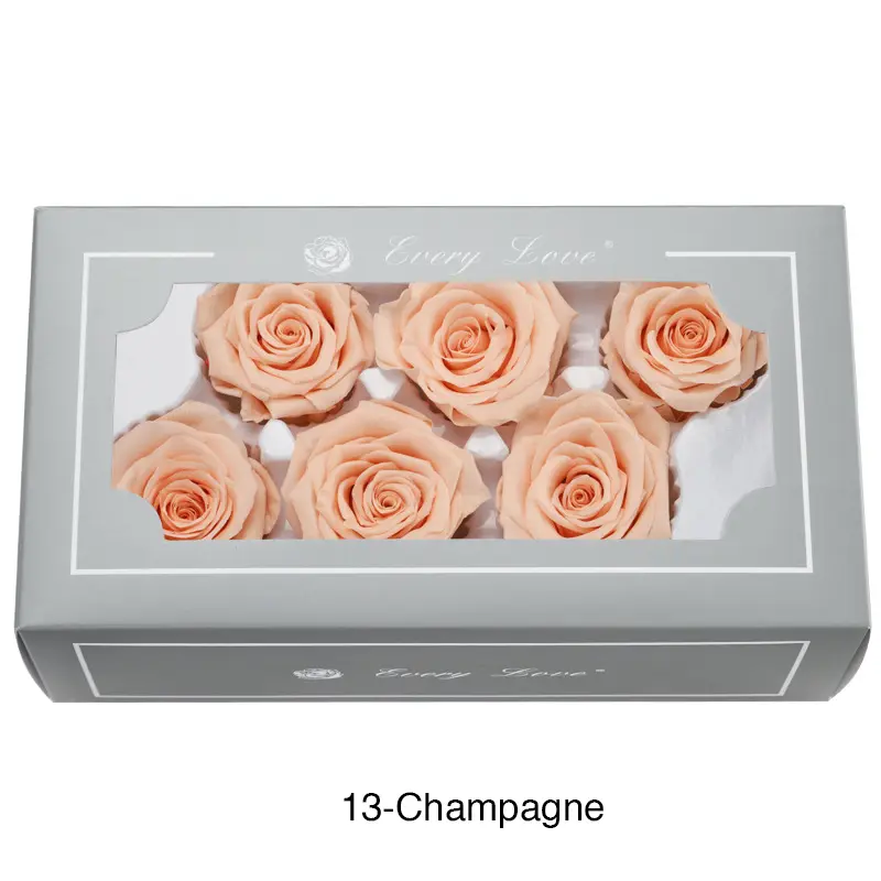 Preserved Flower A Grade Rose Head 5-6cm 6pcs