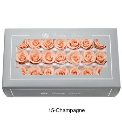Preserved Flower A Grade Rose Head 2-3cm