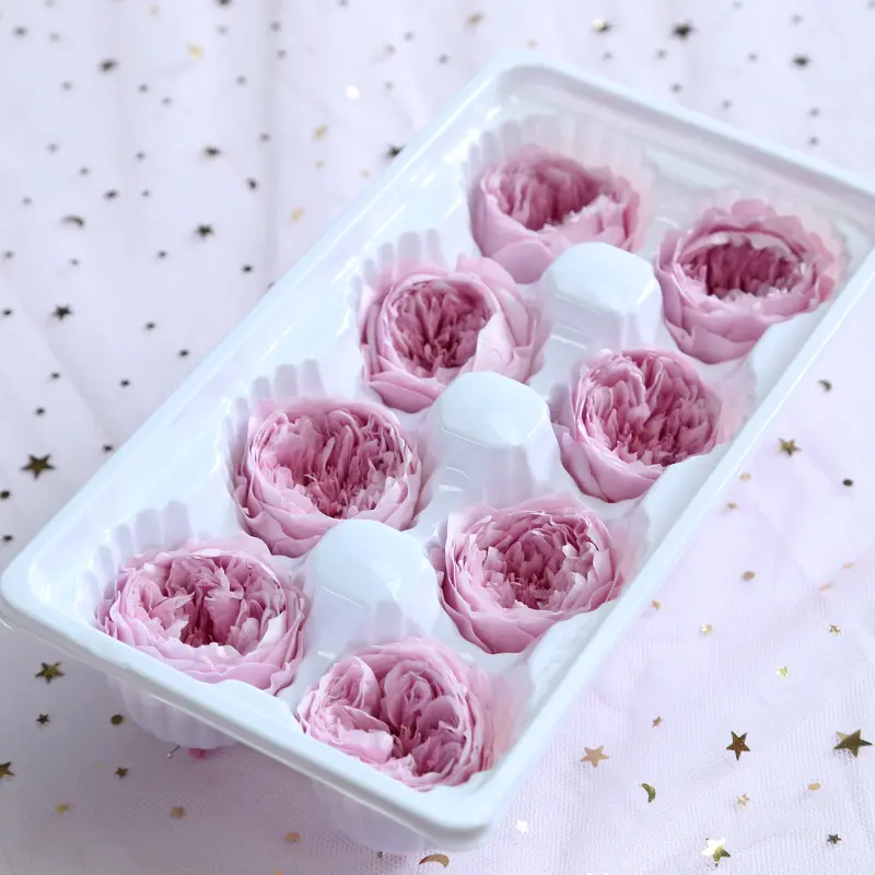 Preserved Flower A Grade Austin Rose Head 5-6cm 8pcs DIY material