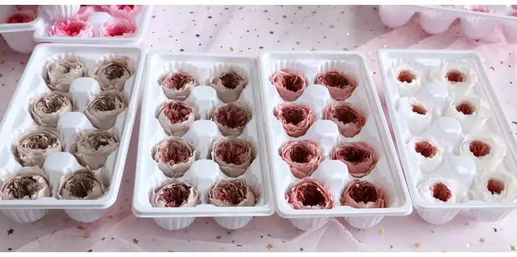 Preserved Flower A Grade Austin Rose Head 5-6cm 8pcs DIY material