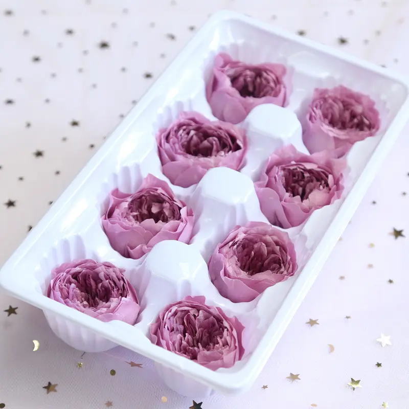 Preserved Flower A Grade Austin Rose Head 5-6cm 8pcs DIY material