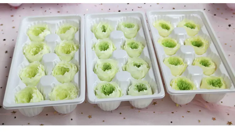 Preserved Flower A Grade Austin Rose Head 5-6cm 8pcs DIY material