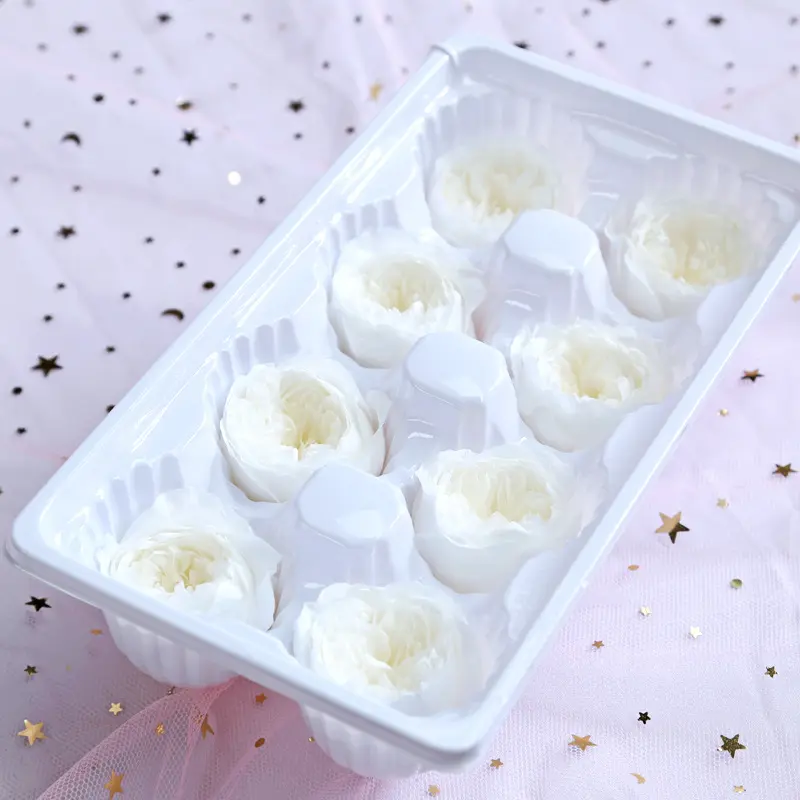 Preserved Flower A Grade Austin Rose Head 5-6cm 8pcs DIY material