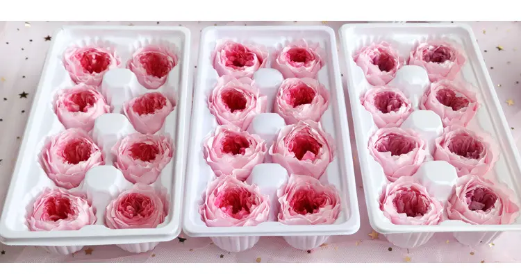 Preserved Flower A Grade Austin Rose Head 5-6cm 8pcs DIY material