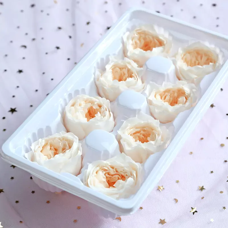 Preserved Flower A Grade Austin Rose Head 5-6cm 8pcs DIY material