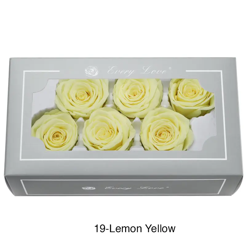 Preserved Flower A Grade Rose Head 5-6cm 6pcs