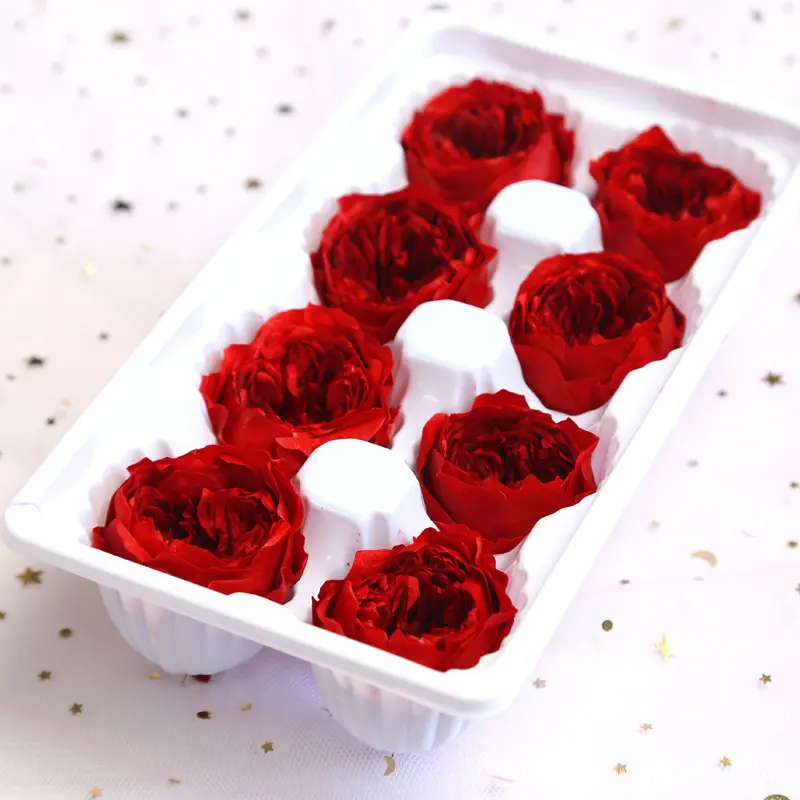 Preserved Flower A Grade Austin Rose Head 5-6cm 8pcs DIY material