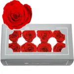 Preserved Flower DIY material A Grade Rose Head 4-5cm 8pcs