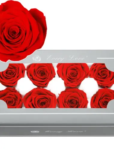 Preserved Flower DIY material A Grade Rose Head 4-5cm 8pcs