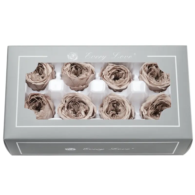 Preserved Flower A Grade Austin Rose Head 5-6cm 8pcs DIY material