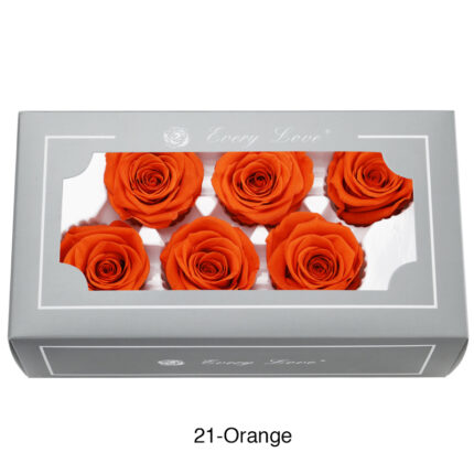 Preserved Flower A Grade Rose Head 5-6cm 6pcs